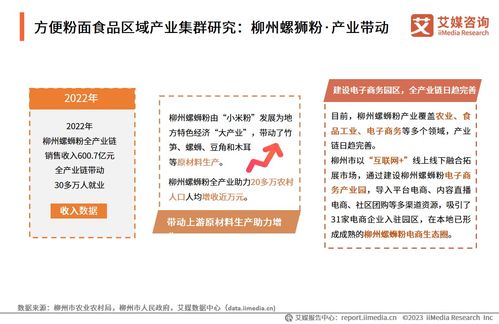 技術賦能與消費驅動 2024年中國方便粉面食品行業洞察與趨勢展望——基于中國食品科學技術學會與艾媒咨詢研究報告的交流探討