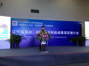 2012中國東北及環(huán)渤海地區(qū)中小企業(yè)專精特新產(chǎn)品技術(shù)展覽洽談會市場營銷策劃