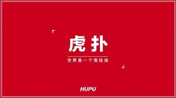 資本助力品牌騰飛 從融資到市場營銷的戰(zhàn)略布局